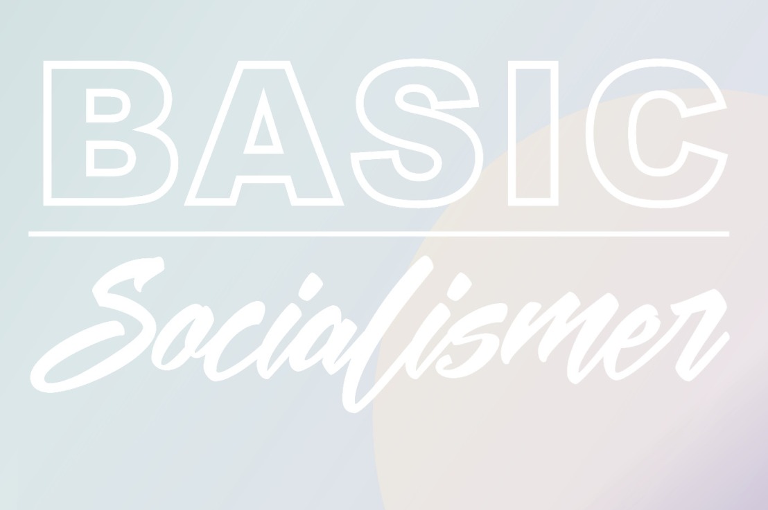 Basic 2.1 – Socialismer
