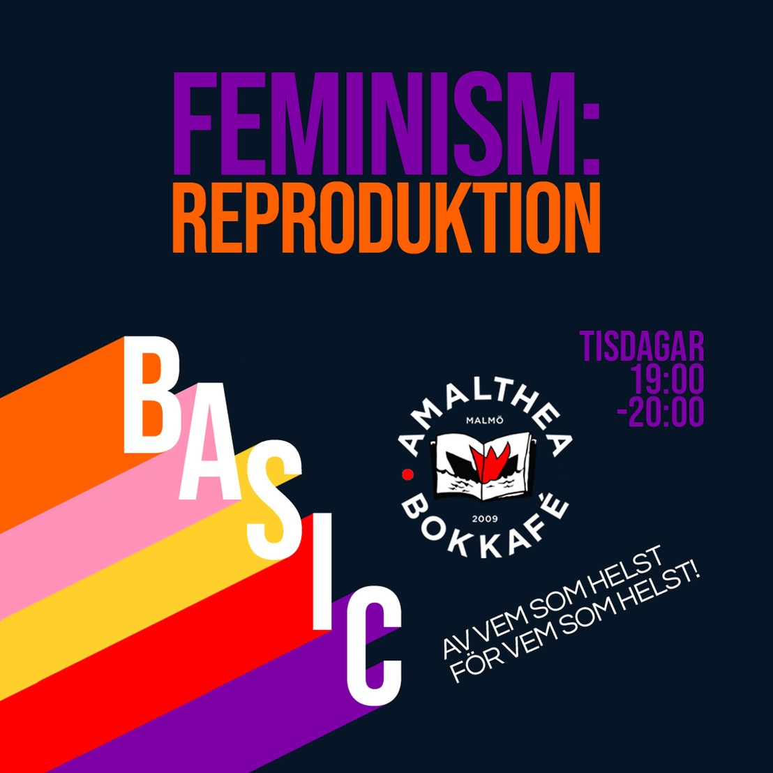 Feminism - Reproduktion insta copy.v1